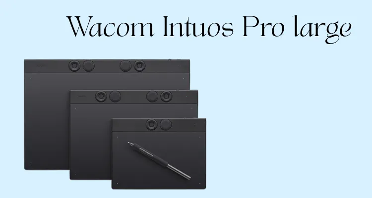 Wacom Intuos Pro large